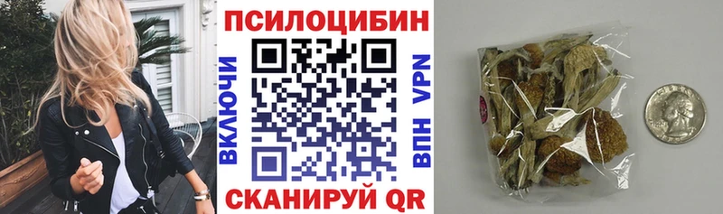 Галлюциногенные грибы Psilocybe цены наркотик Казань